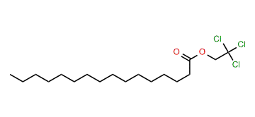 2,2,2-Trichloroethyl hexadecanoate